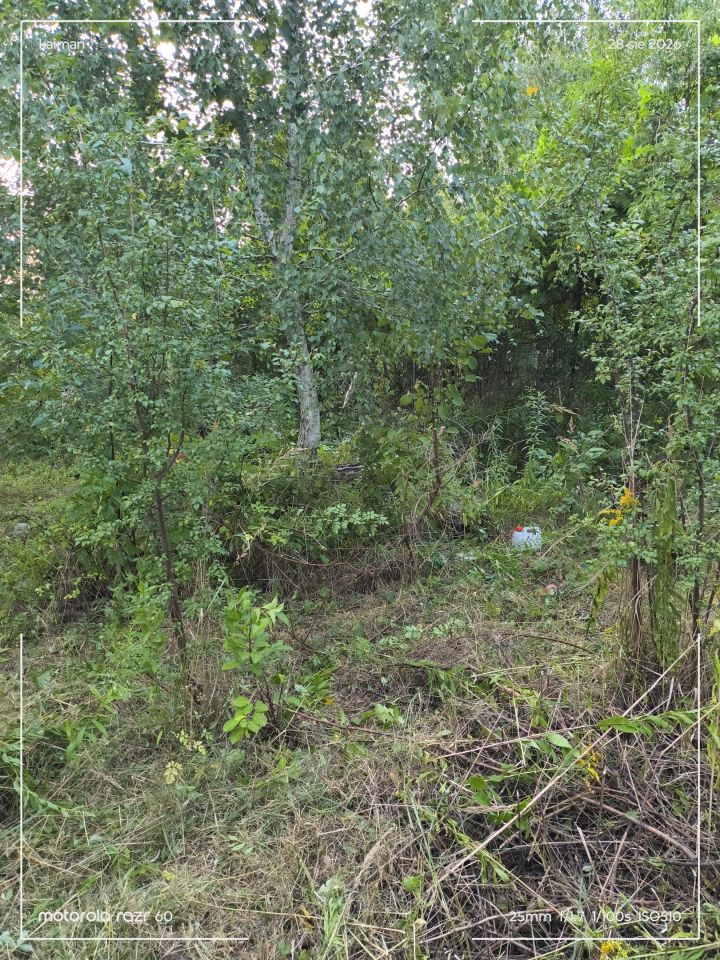 Działka rod Radom, ul. Wincentego Witosa. Zdjęcie 12