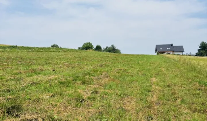 Działka siedliskowa Lipnica Dolna