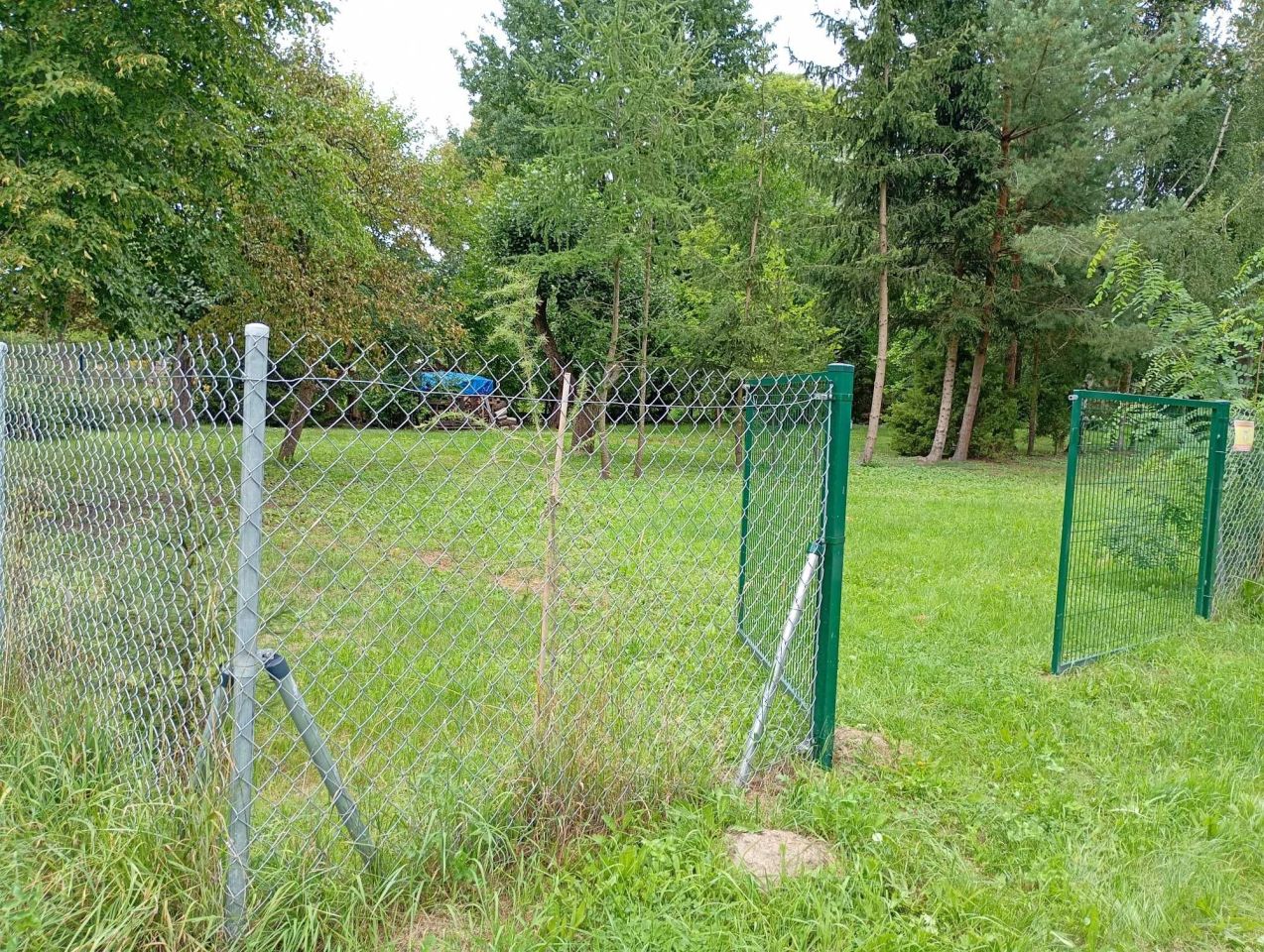 Działka budowlana Karolina. Zdjęcie 3
