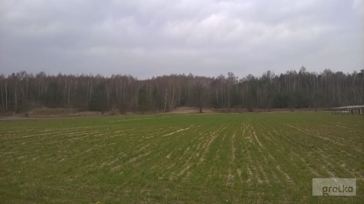 Działka rolno-budowlana Wymysłów. Zdjęcie 4