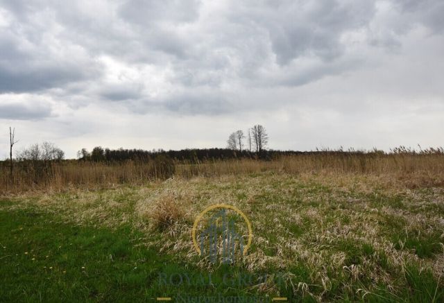 Działka rolna Giżyce. Zdjęcie 5