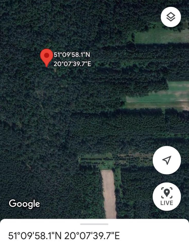 Działka leśna Zbójno. Zdjęcie 2