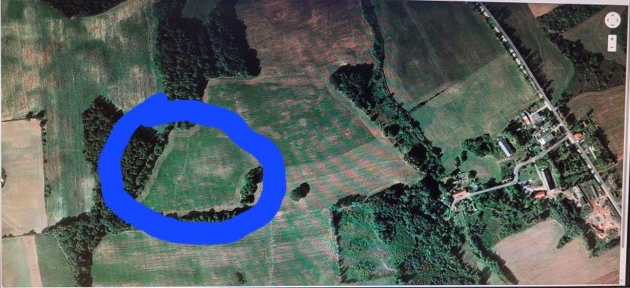 Działka rolna Muntowo. Zdjęcie 4