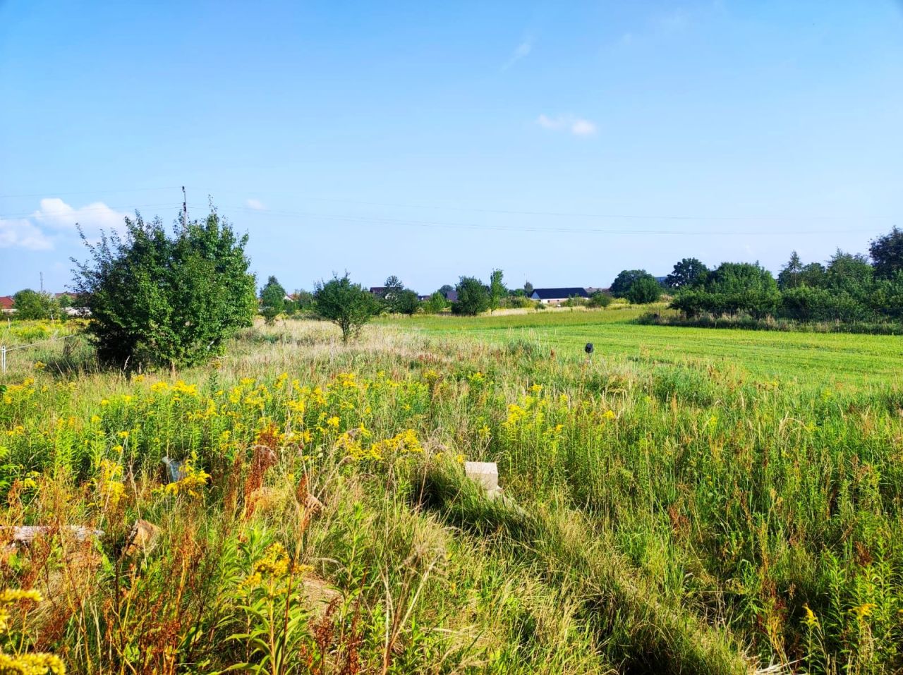 Działka budowlana Krępice, ul. Pogodna. Zdjęcie 4