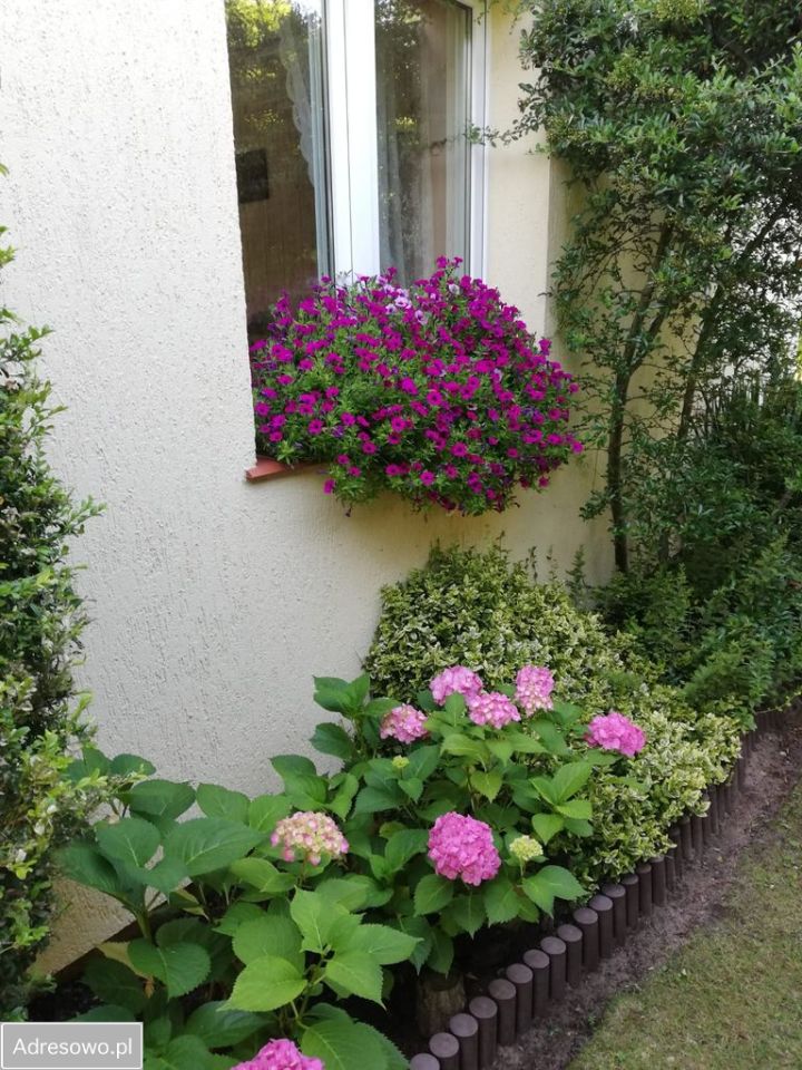 Działka rekreacyjna Bugaj Barcinek. Zdjęcie 11