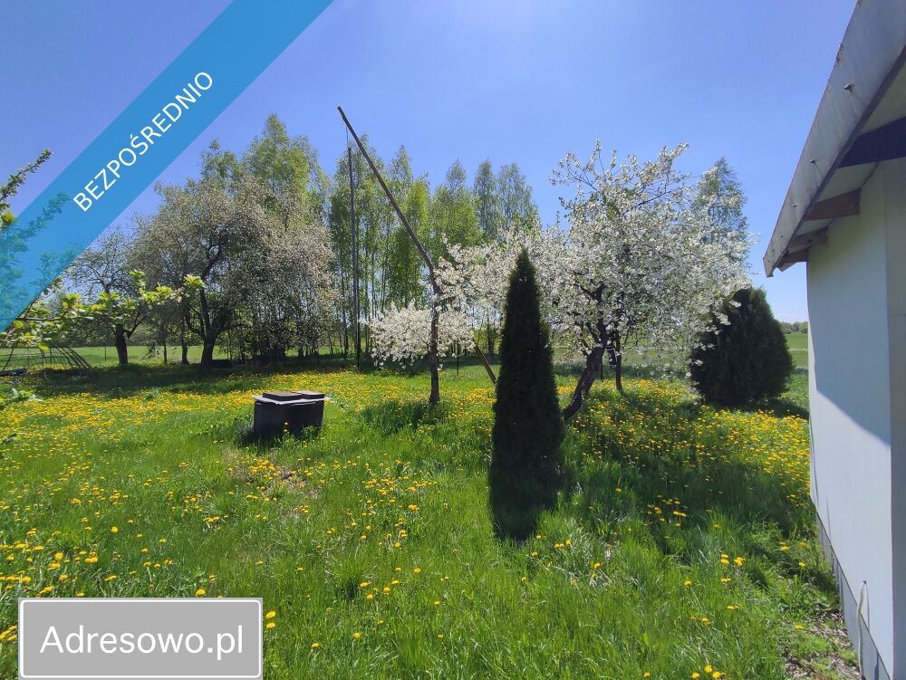 siedlisko, 4 pokoje Hanna. Zdjęcie 2