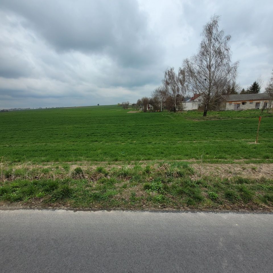 Działka rolno-budowlana Stary Zamość. Zdjęcie 5