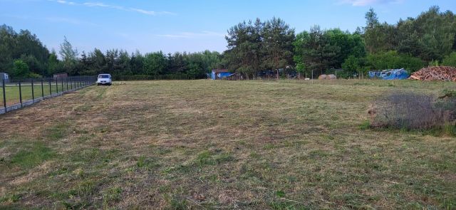 Działka rolno-budowlana Mazewo Dworskie"A". Zdjęcie 1