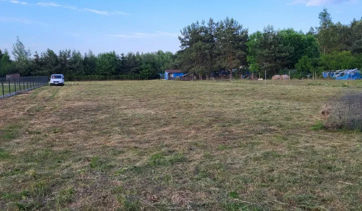 Działka rolno-budowlana Mazewo Dworskie"A"