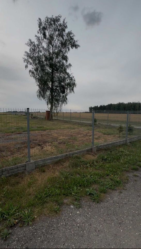 Działka siedliskowa Bielszczyzna. Zdjęcie 7