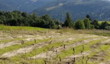 Działka rekreacyjna Korbielów, ul. Beskid