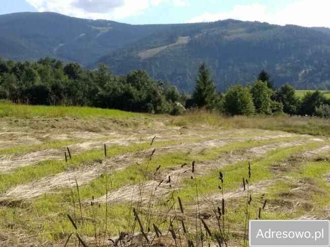 Działka inwestycyjna Korbielów, ul. Beskid. Zdjęcie 4
