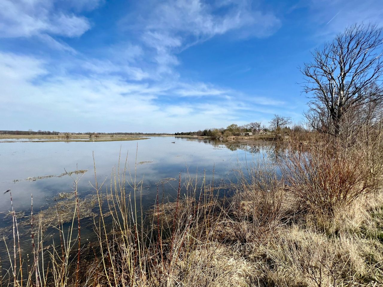 Działka budowlana Stasiopole, ul. Graniczna. Zdjęcie 3