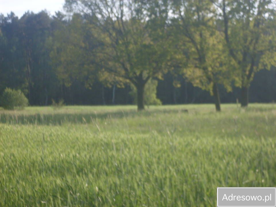 Działka rolna Raszków. Zdjęcie 5