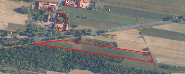 Działka inwestycyjna Huta Wiskicka. Zdjęcie 2