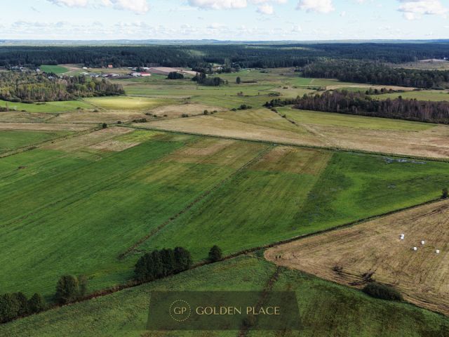 Działka rolna Kniewo. Zdjęcie 13