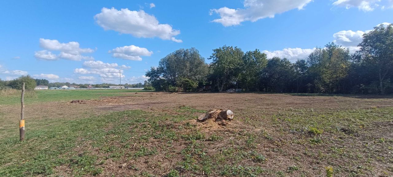 Działka rolna Przewóz Tarnowski. Zdjęcie 4