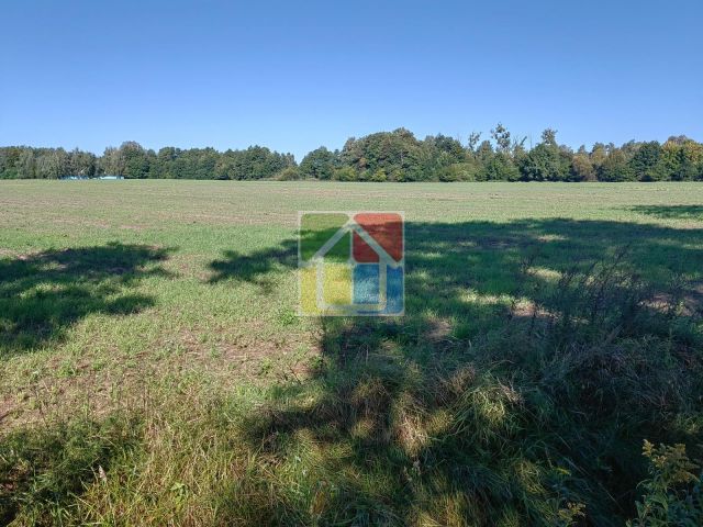 Działka rolna Zaborów Nowy. Zdjęcie 4