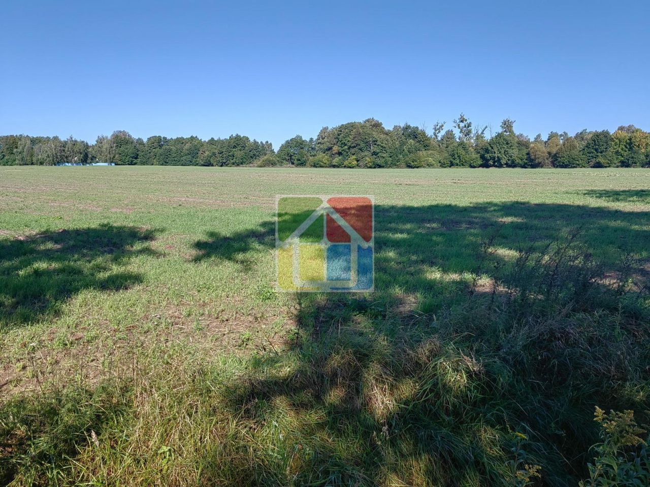 Działka rolna Zaborów Nowy. Zdjęcie 4