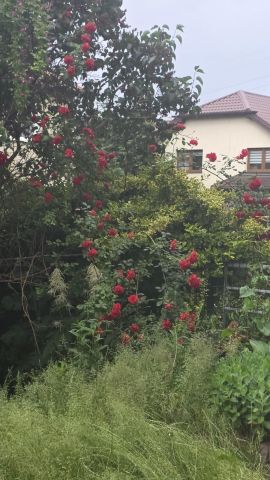Mieszkanie 3-pokojowe Piaseczno, ul. Złotej Kaczki. Zdjęcie 1
