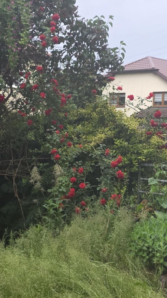 Mieszkanie 3-pokojowe Piaseczno, ul. Złotej Kaczki. Zdjęcie 1