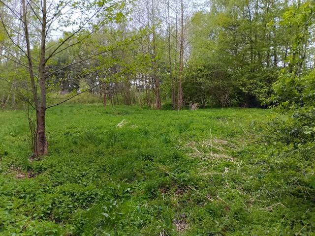Działka rolna Smogorzewo Pańskie. Zdjęcie 11
