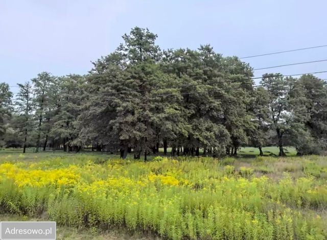 Działka budowlana Warszawa Wilanów, ul. Rosy. Zdjęcie 1