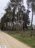 Działka rekreacyjna Starowola, ul. Graniczna. Zdjęcie 3