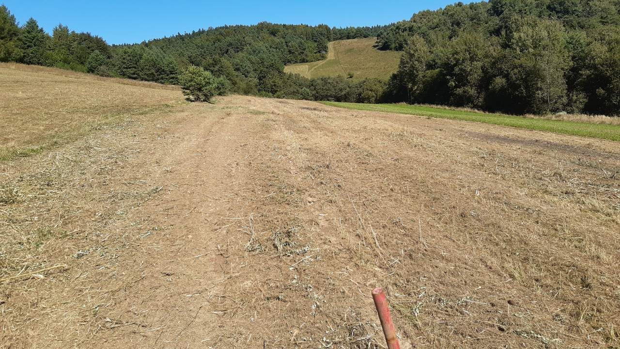 Działka rolno-budowlana Hoczew. Zdjęcie 11