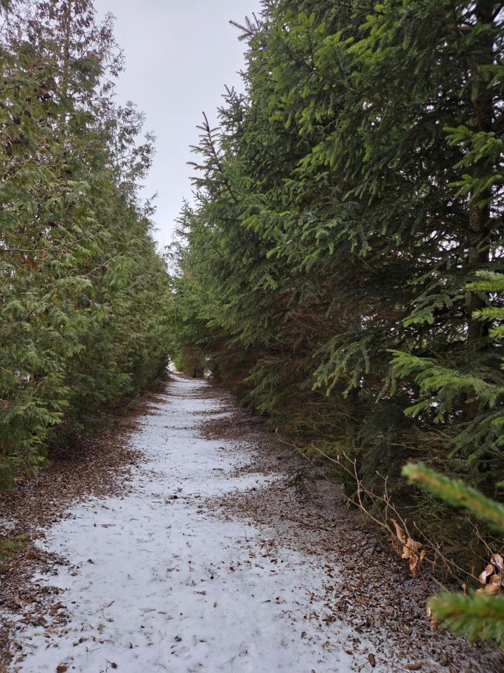 dom wolnostojący, 7 pokoi Strączno. Zdjęcie 72