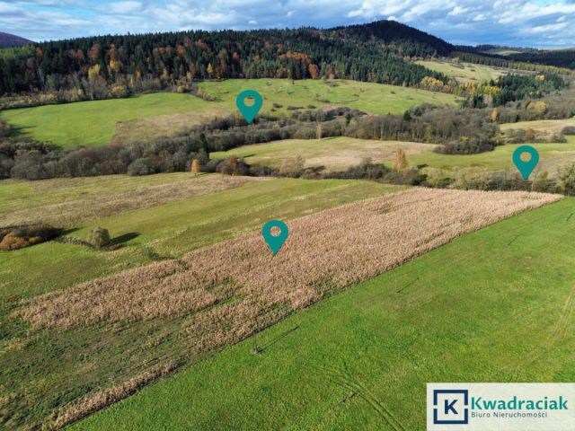 Działka rolna Daliowa. Zdjęcie 5