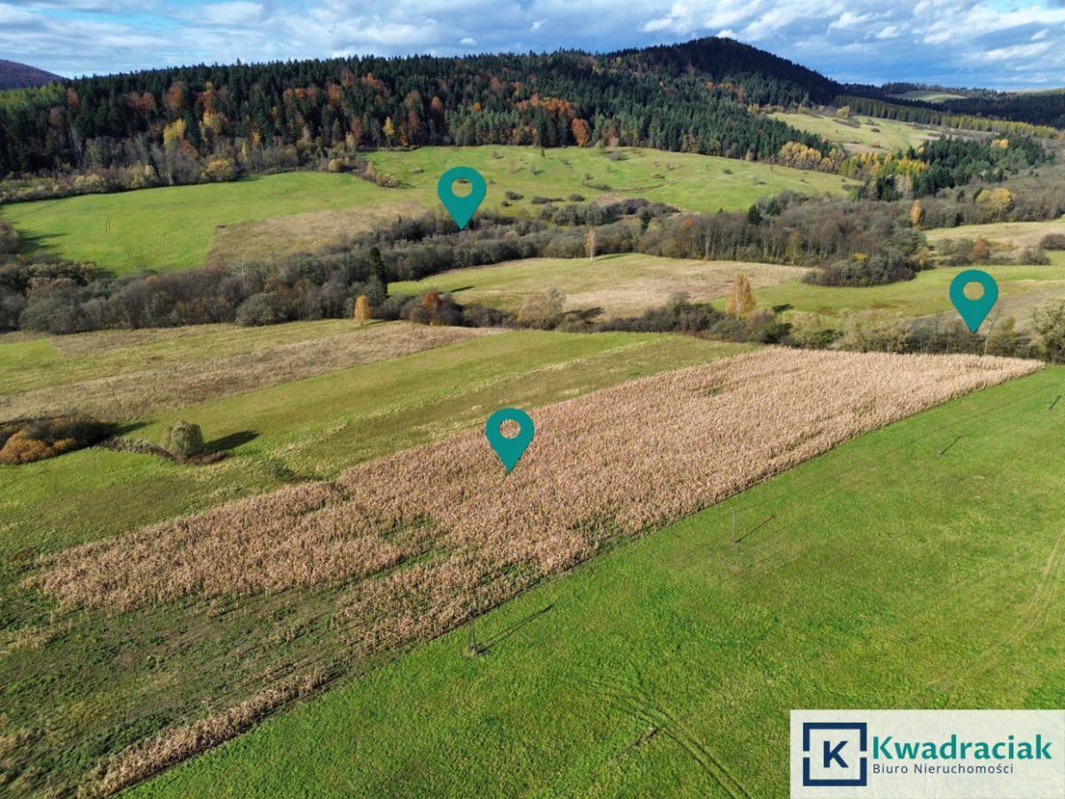 Działka rolna Daliowa. Zdjęcie 5