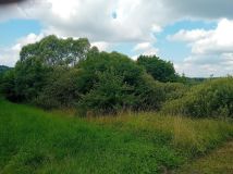 Działka rolna Strzygi. Zdjęcie 1