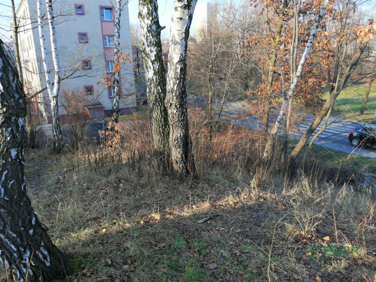 Działka Rydułtowy, ul. Leona. Zdjęcie 3