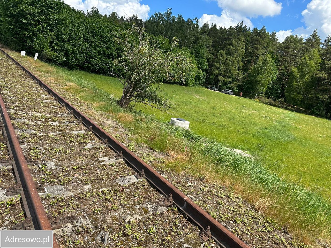 Działka inwestycyjna Dębogórze, ul. Lisia. Zdjęcie 7