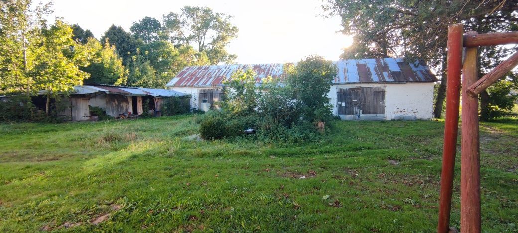 siedlisko Bielkowo. Zdjęcie 4