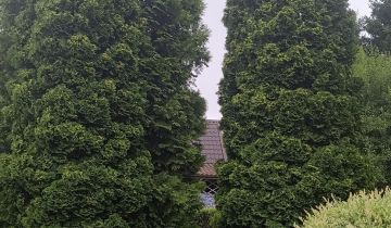 Działka rod Kołobrzeg, ul. Janiska