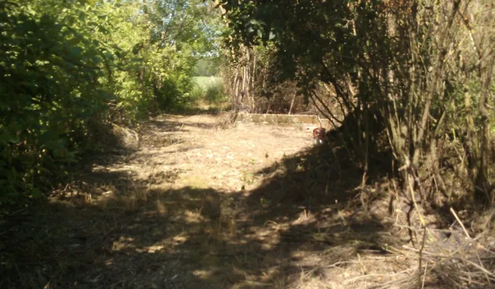 Działka siedliskowa Kosiorki