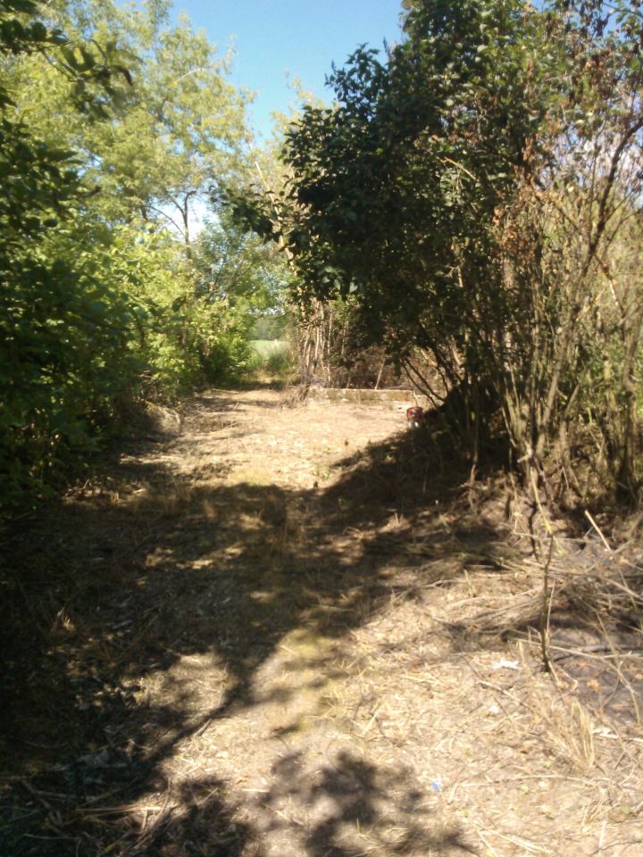 Działka siedliskowa Kosiorki