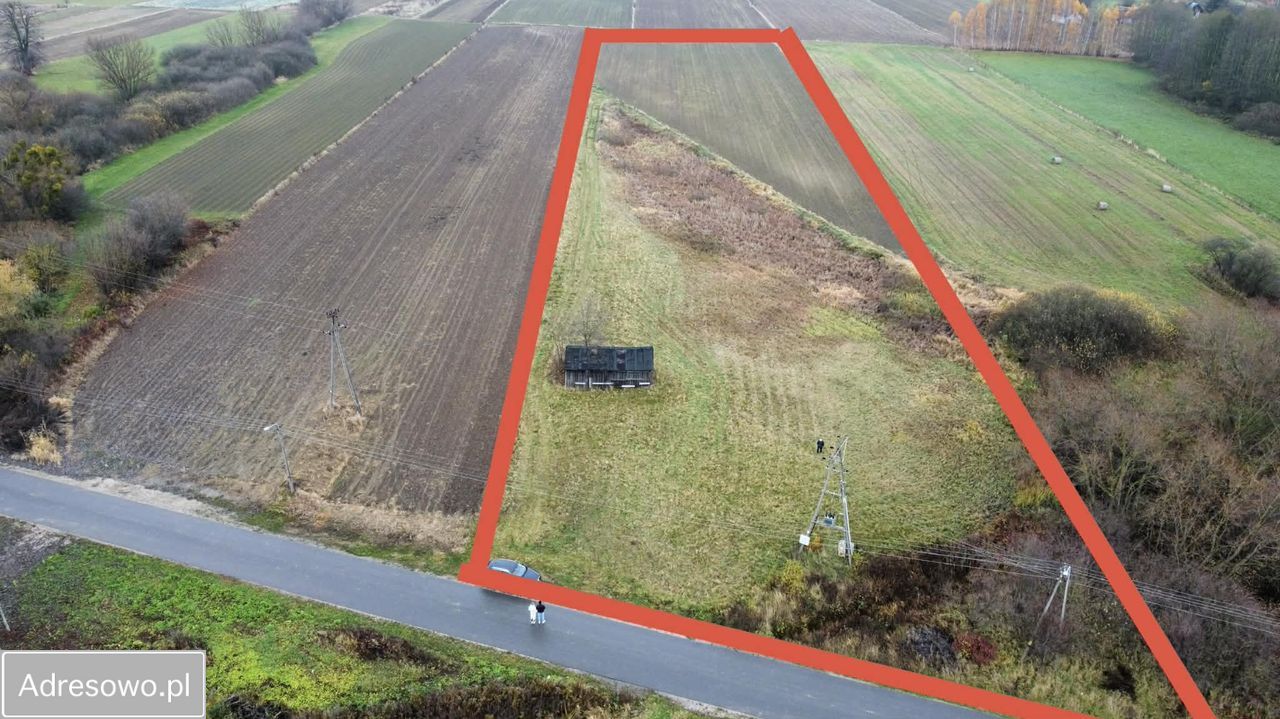 Działka rolno-budowlana Wójtostwo Kozienice-Kolonia. Zdjęcie 2