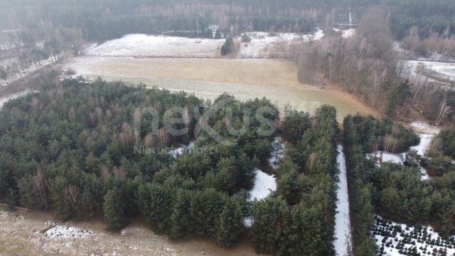 Działka budowlana Drogoszowice. Zdjęcie 4