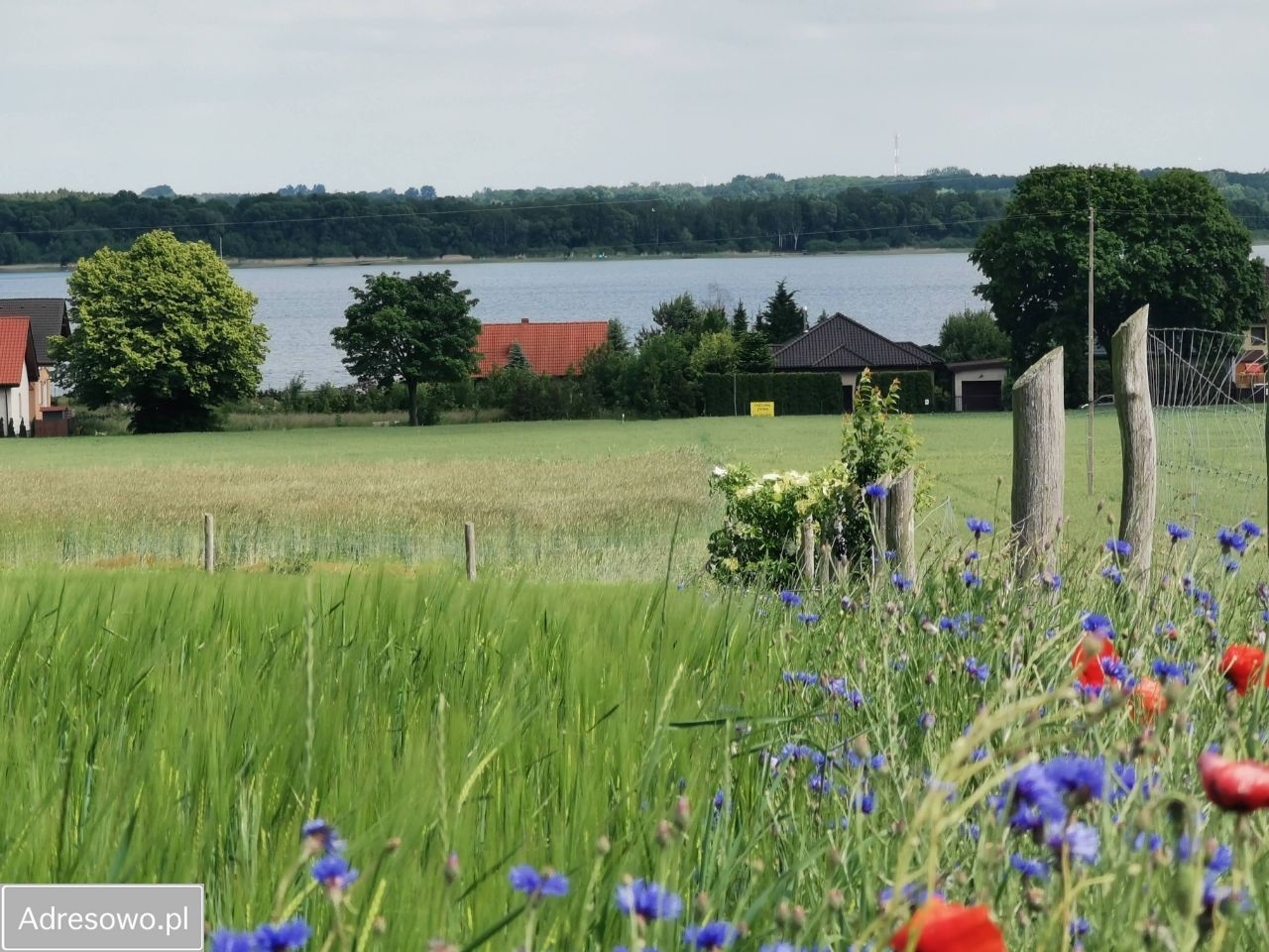 Działka rolno-budowlana Powidz, ul. Widokowa. Zdjęcie 10
