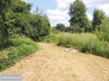 Działka budowlana Biłgoraj Podemłynie. Zdjęcie 3