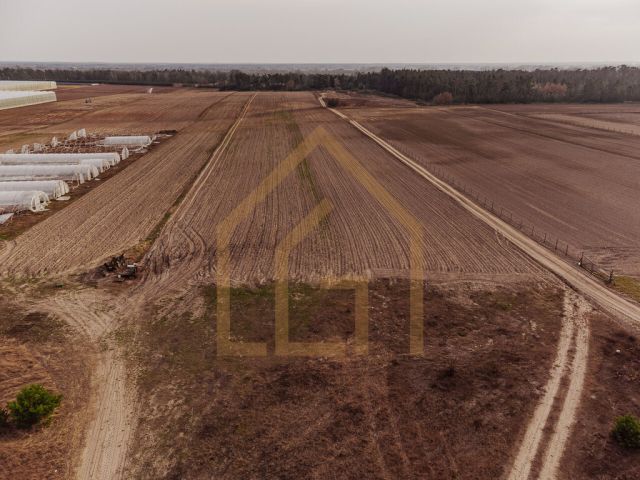 Działka budowlana Zakroczym Duchowizna, ul. Duchowizna. Zdjęcie 3