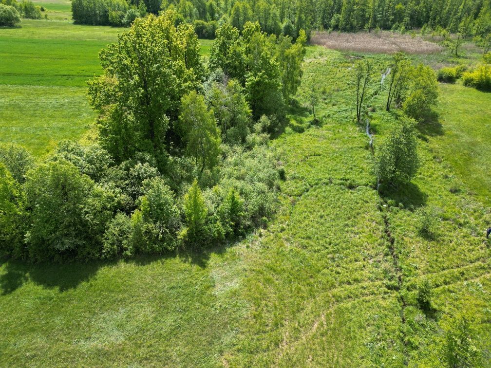 Działka rolna Trzepowo. Zdjęcie 3