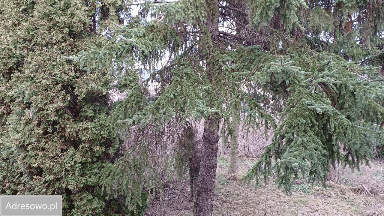 dom wolnostojący, 3 pokoje Marki, ul. Dobra. Zdjęcie 2