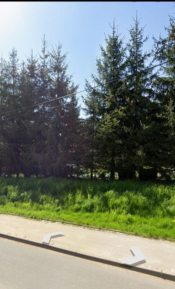 Działka budowlana Borowo-Młyn, ul. Starych Wierzb. Zdjęcie 7