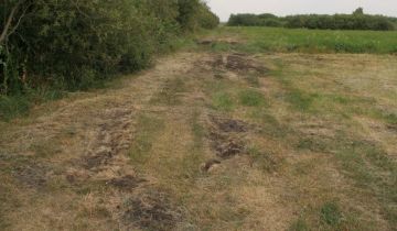 Działka rolna Strzelce