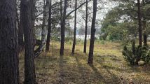 Działka rekreacyjna Chrzypsko Małe. Zdjęcie 4