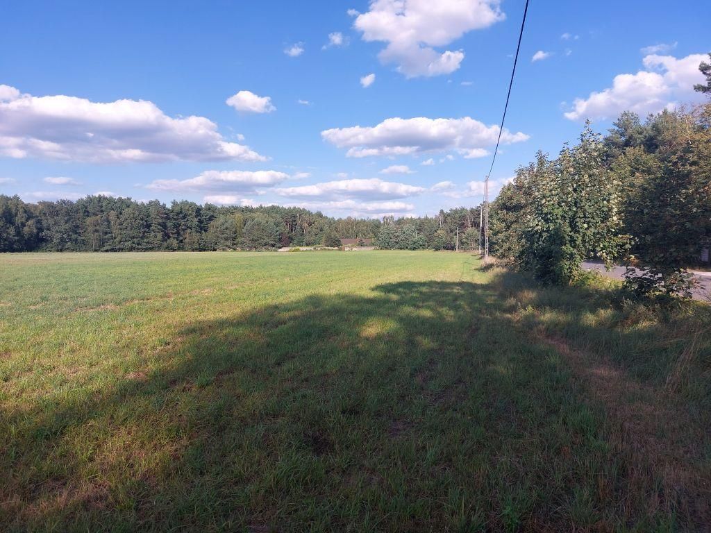 Działka rolno-budowlana Zamęty. Zdjęcie 10